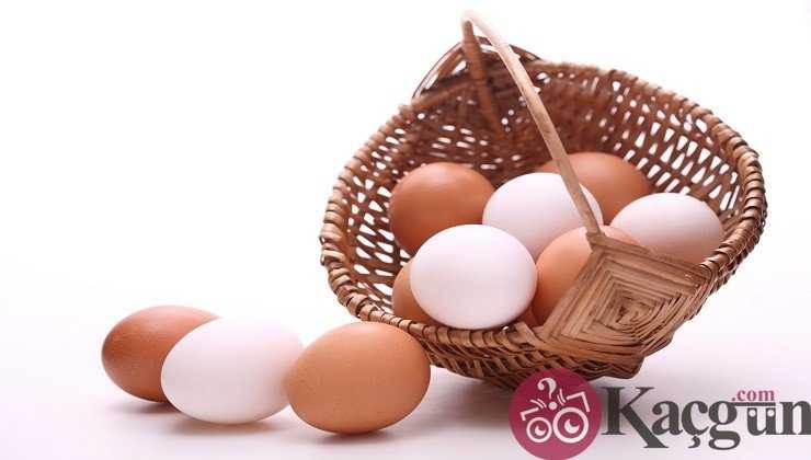Yumurta Kaç Gün Dayanır?