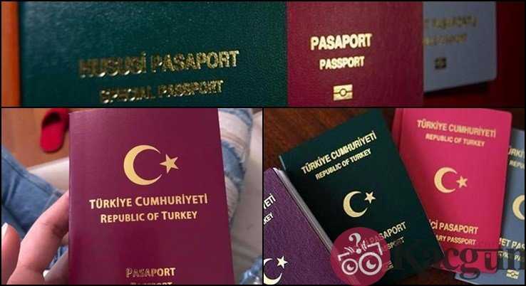 Pasaport Türleri, Kaç Çeşit Pasaport Var?