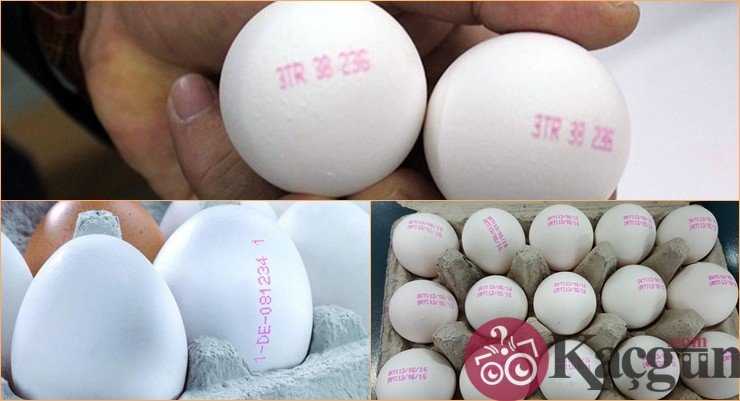 Yumurtaların Üzerindeki Kodlar Ne Anlama Gelir?