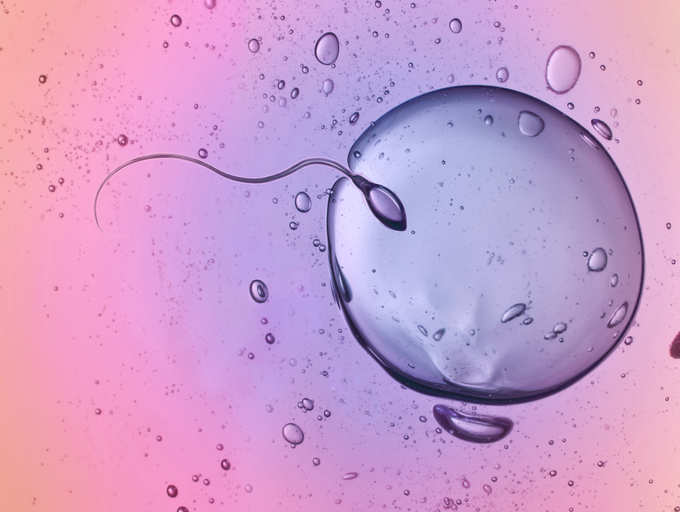sperm üretimi